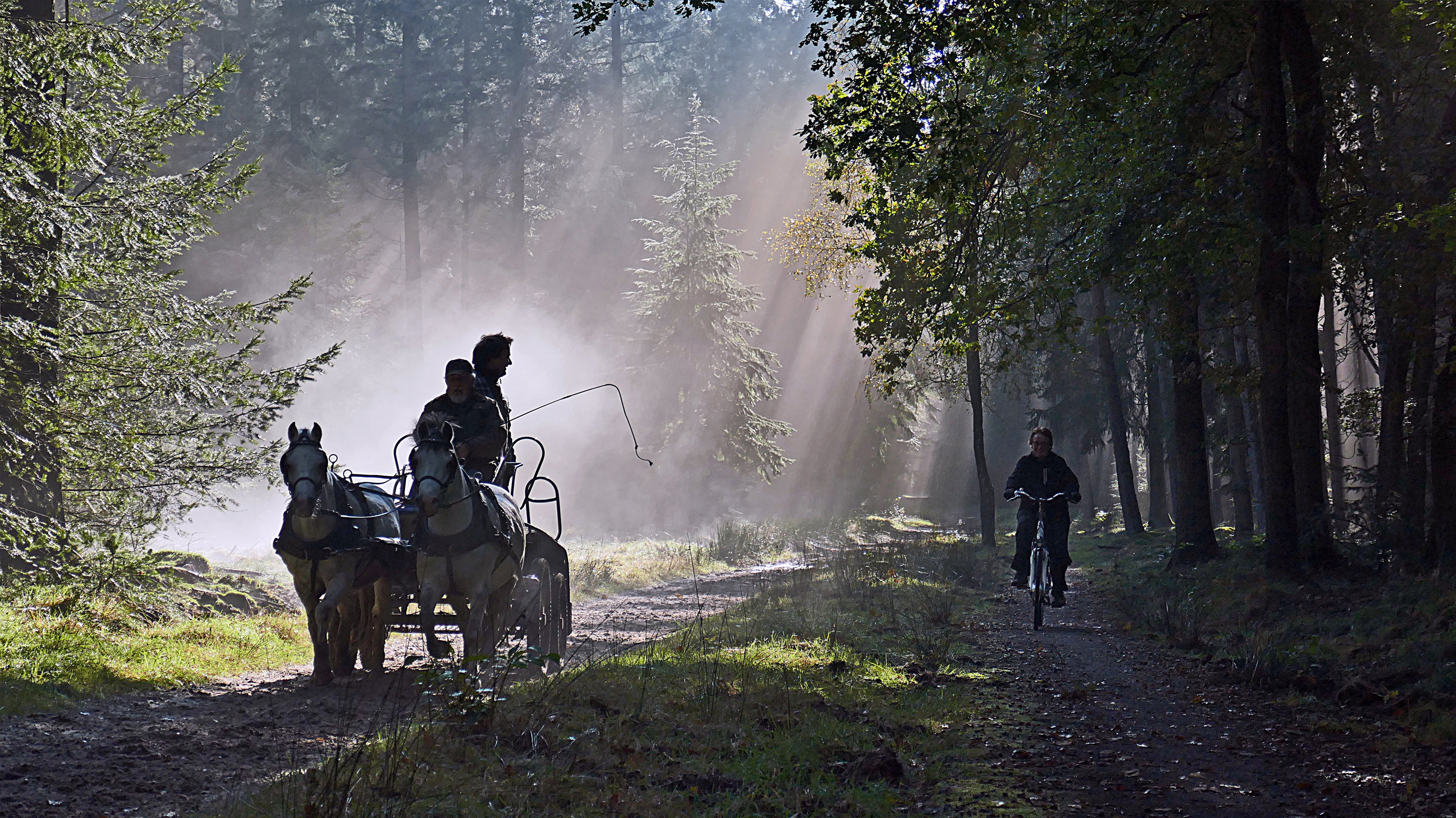 Makelaardij Van Meerveld Burger