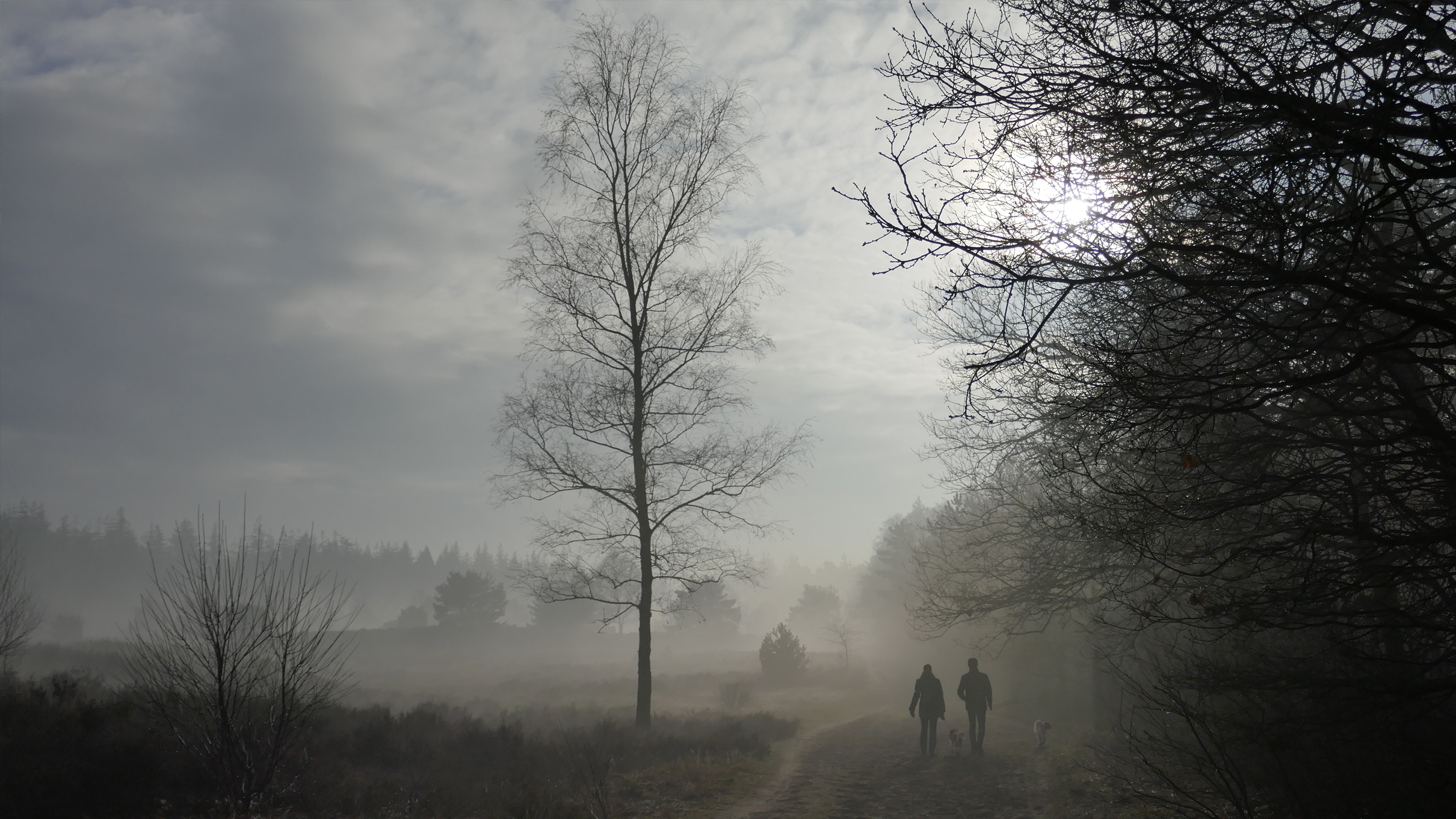 Makelaardij Van Meerveld Burger