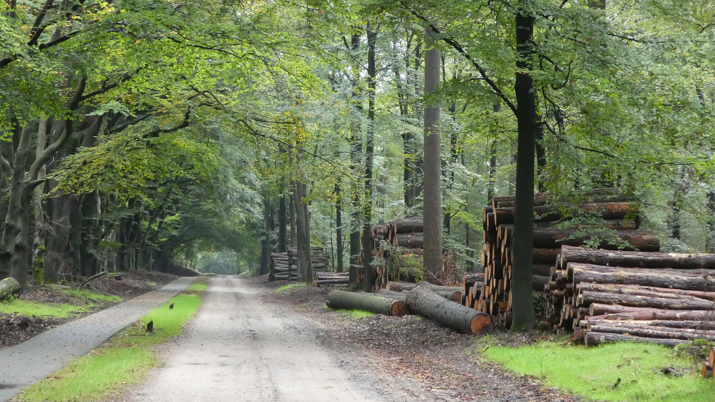 Makelaardij Van Meerveld Burger