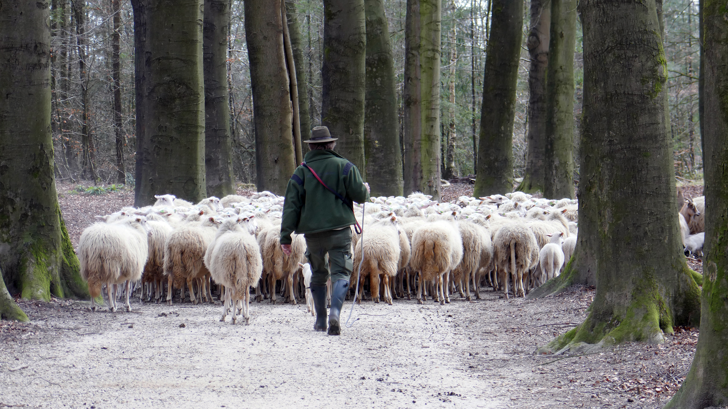 Makelaardij Van Meerveld Burger