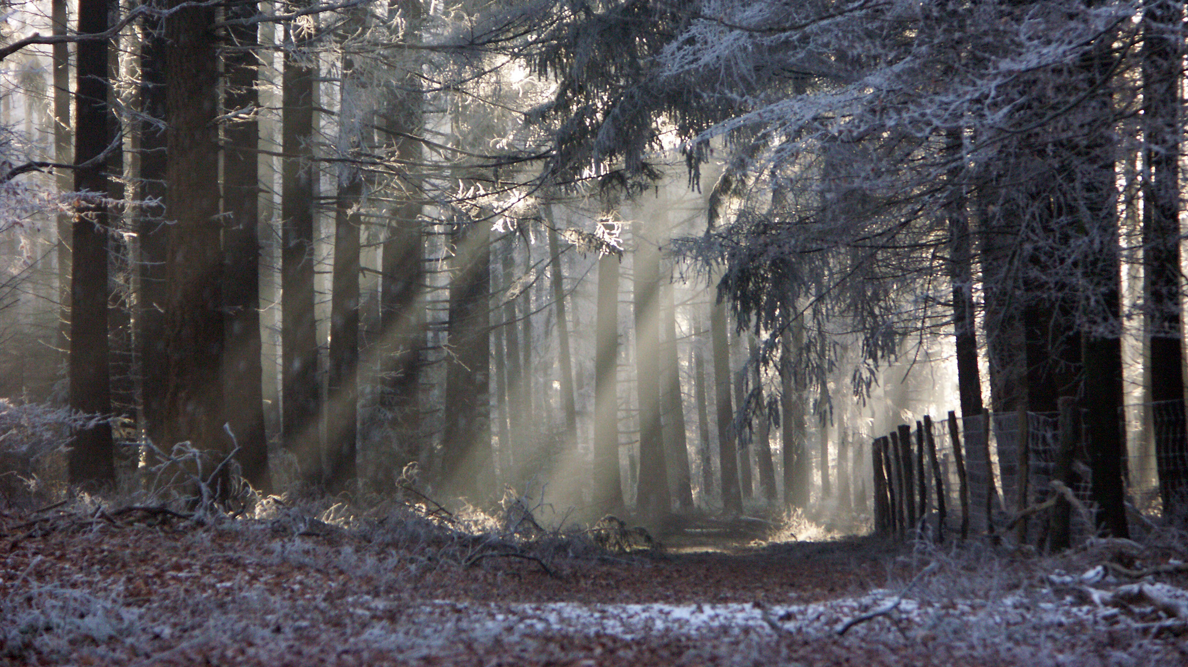 Makelaardij Van Meerveld Burger