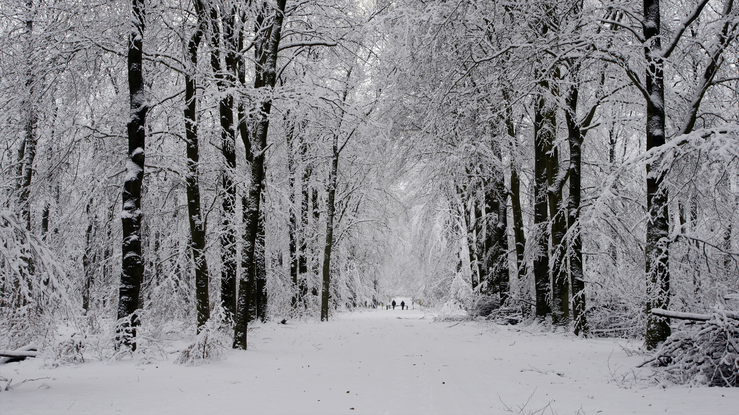Makelaardij Van Meerveld Burger